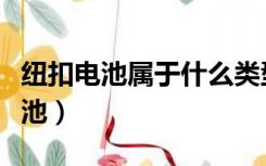 纽扣电池属于什么类型（纽扣电池属于什么电池）