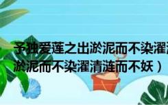 予独爱莲之出淤泥而不染濯清涟而不妖翻译（予独爱莲之出淤泥而不染濯清涟而不妖）