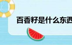 百香籽是什么东西（百香籽是什么）