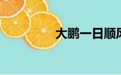 大鹏一日顺风翱翔九千里
