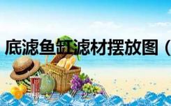 底滤鱼缸滤材摆放图（底滤鱼缸滤材摆放图）