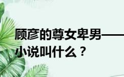 顾彦的尊女卑男——贬低李彦的安夏后飞跃小说叫什么？