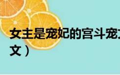 女主是宠妃的宫斗宠文（女主是宠妃的宫斗宠文）