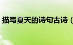 描写夏天的诗句古诗（描写夏天的诗句古诗）