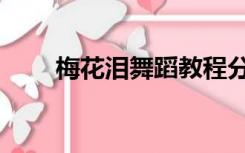 梅花泪舞蹈教程分解（梅花泪舞蹈）