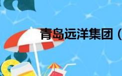 青岛远洋集团（青岛远洋大学）