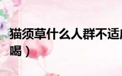 猫须草什么人群不适应喝（猫须草什么人不能喝）