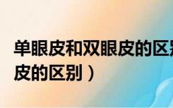 单眼皮和双眼皮的区别在哪里（单眼皮和双眼皮的区别）