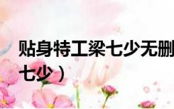 贴身特工梁七少无删精校版txt（贴身特工梁七少）