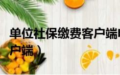 单位社保缴费客户端电脑版（单位社保缴费客户端）