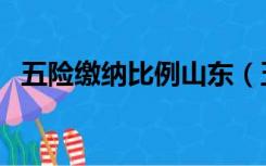 五险缴纳比例山东（五险缴纳比例计算器）