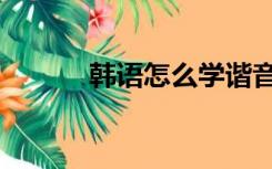 韩语怎么学谐音（韩语怎么学）