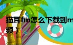 猫耳fm怎么下载到mp4（猫耳fm怎么下载音频）