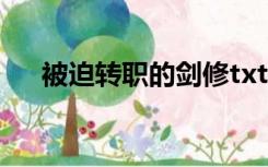 被迫转职的剑修txt（被迫转职的剑修）