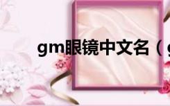 gm眼镜中文名（gm眼镜中国官网）