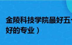 金陵科技学院最好五个专业（金陵科技学院最好的专业）