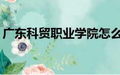 广东科贸职业学院怎么样？石井校区在哪里？