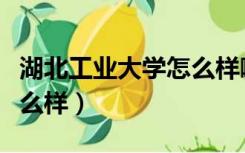 湖北工业大学怎么样啊现在（湖北工业大学怎么样）