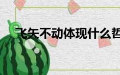 飞矢不动体现什么哲学道理（飞矢不动）