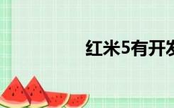 红米5有开发者选项吗？