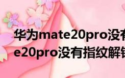 华为mate20pro没有指纹解锁吗（华为mate20pro没有指纹解锁）
