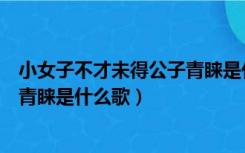 小女子不才未得公子青睐是什么意思（小女子不才未得公子青睐是什么歌）