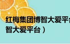 红梅集团博智大爱平台如何注册（红梅集团博智大爱平台）