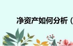 净资产如何分析（净资产如何计算）
