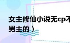 女主修仙小说无cp不团宠（女主修仙小说无男主的）