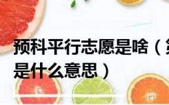 预科平行志愿是啥（第二批本科预科平行志愿是什么意思）