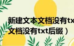新建文本文档没有txt后缀怎么办（新建文本文档没有txt后缀）