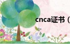 cnca证书（cnca证书）