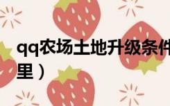 qq农场土地升级条件（qq农场土地升级在哪里）