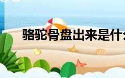 骆驼骨盘出来是什么颜色的（骆驼骨）