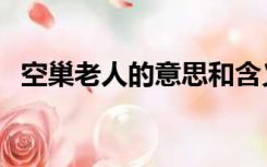 空巢老人的意思和含义（空巢老人的定义）