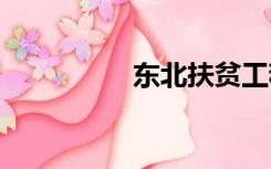 东北扶贫工程3260项目