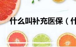 什么叫补充医保（什么叫补充医疗保险）