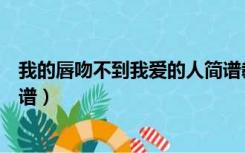 我的唇吻不到我爱的人简谱教唱（我的唇吻不到我爱的人简谱）
