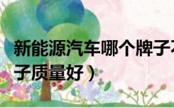 新能源汽车哪个牌子不好（新能源汽车哪个牌子质量好）