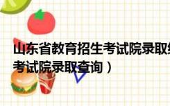 山东省教育招生考试院录取结果查询入口（山东省教育招生考试院录取查询）