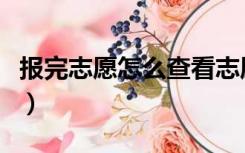 报完志愿怎么查看志愿（报完志愿怎么看录取）