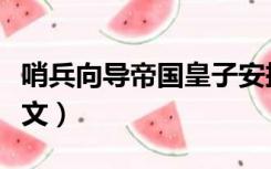 哨兵向导帝国皇子安抚量子兽（哨兵向导耽美文）