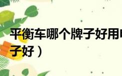 平衡车哪个牌子好用电池耐用（平衡车哪个牌子好）