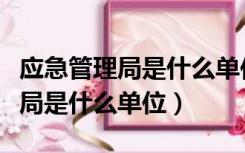 应急管理局是什么单位是公务员吗（应急管理局是什么单位）
