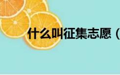 什么叫征集志愿（什么叫征集志愿）