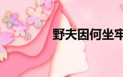 野夫因何坐牢（野夫简介）