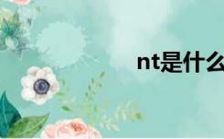 nt是什么检查项目