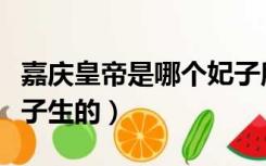 嘉庆皇帝是哪个妃子所生（嘉庆皇帝是哪个妃子生的）