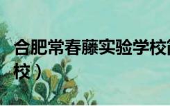 合肥常春藤实验学校简介（合肥常春藤实验学校）
