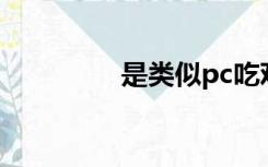 是类似pc吃鸡的低级游戏